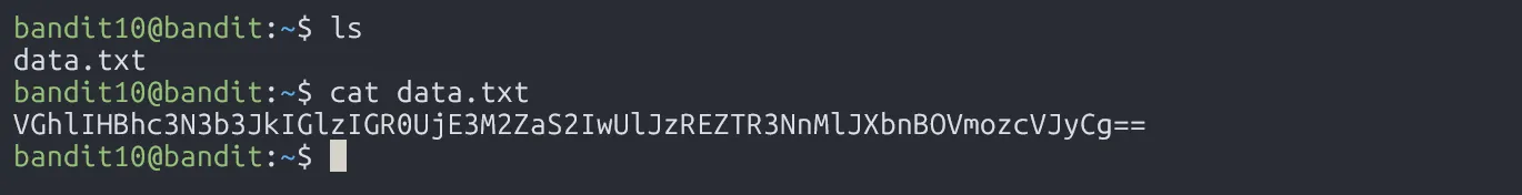 base64